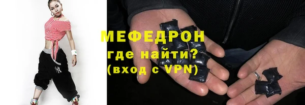 стафф Гатчина