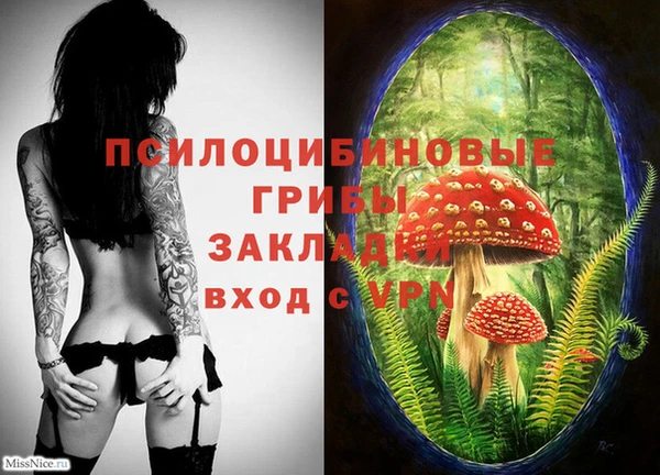 Альфа ПВП Абаза
