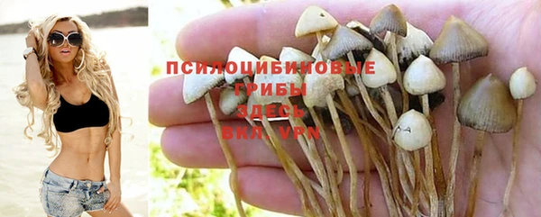ГАЛЛЮЦИНОГЕННЫЕ ГРИБЫ Алзамай